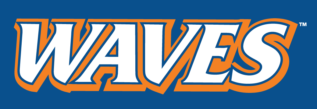 Pepperdine Waves 2004-Pres Wordmark Logo v2 diy iron on heat transfer